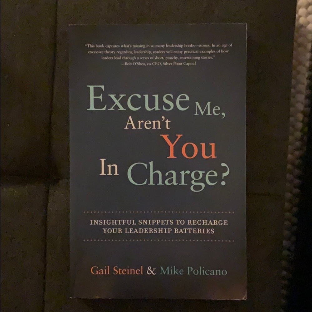 Excuse Me, Aren’t you in Charge? Book